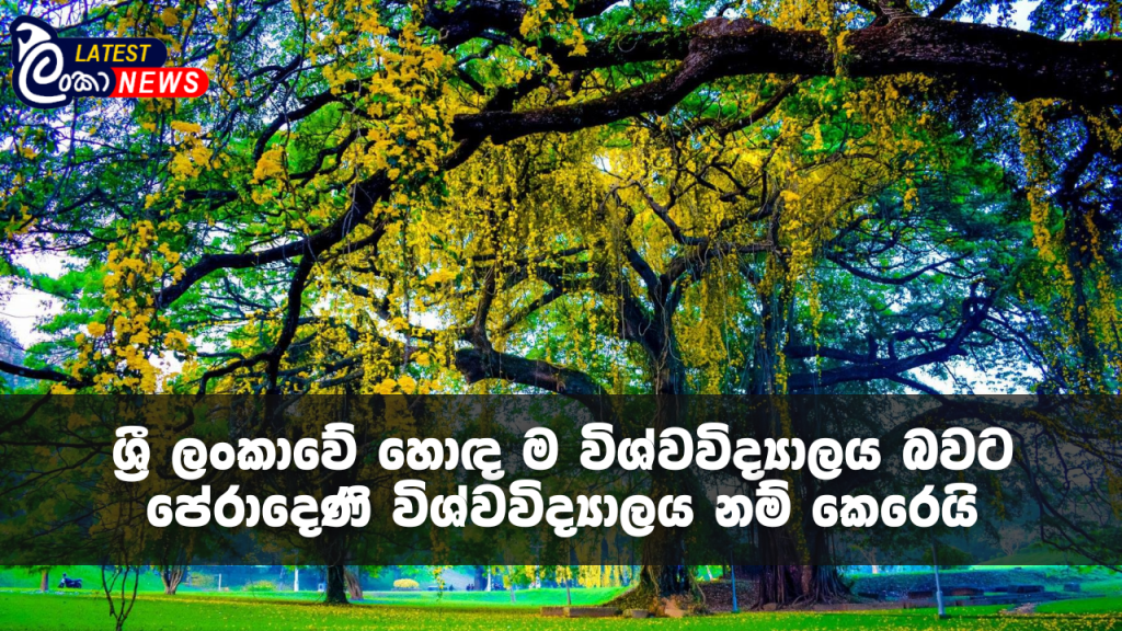 Lanka Latest news site (3)