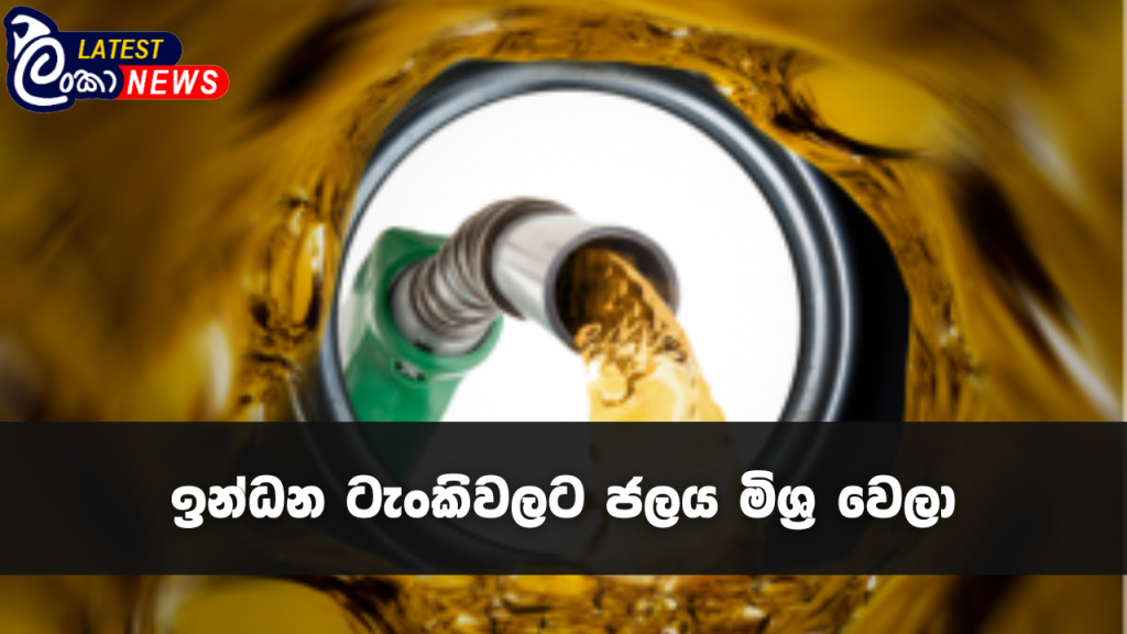 Lanka Latest news site