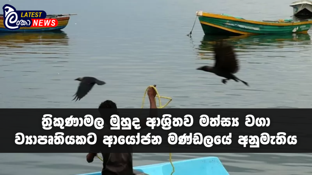 Lanka Latest news site (8)